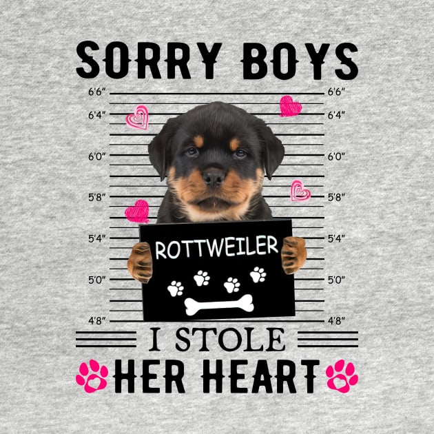 Rottweiler Sorry Boys I Stole Her Heart Happy Valentine's Day by PlumleelaurineArt